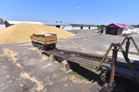 Harvesting cereals