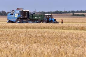 Harvesting cereals