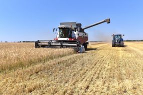 Harvesting cereals