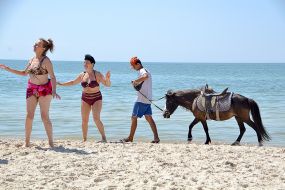 A man leads a pony on the beach