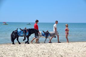 Men lead ponies on the beach