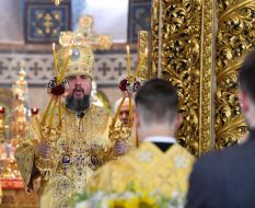 Metropolitan Epiphany