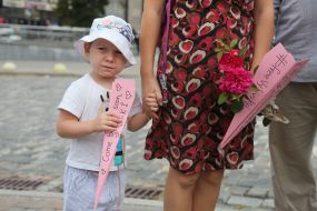 Action "Planes for Valentin Vyhivsky"