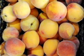 Peaches