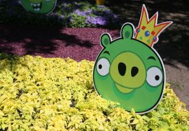 Выставка цветов «Мульт-ленд» на Певческом поле