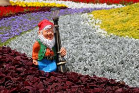 Выставка цветов «Мульт-ленд» на Певческом поле