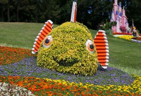 Выставка цветов «Мульт-ленд» на Певческом поле