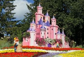 Exhibition of flowers "Mult-Land" on the Singing Field