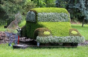 Выставка цветов «Мульт-ленд» на Певческом поле