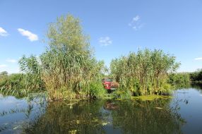 Beaver Lake in the Kherson region