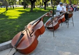 Contrabass