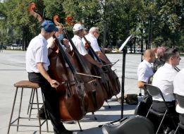 Orchestra musicians