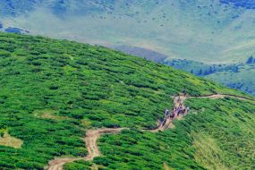 Туристы поднимаются на гору Петрос