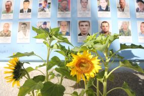 Sunflowers near the Wall of Remembrance