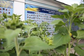 Sunflowers near the Wall of Remembrance