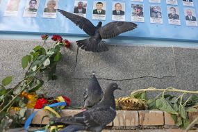 Pigeons near the Wall of Remembrance