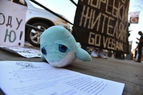 Vegan picket against the oceanarium in Lviv