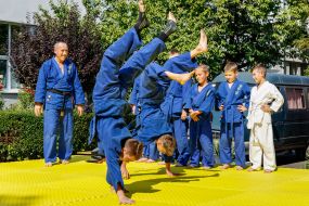 Demonstration performances of students of sports sections