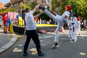 Demonstration performances of students of sports sections