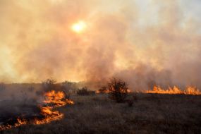 Elimination of a fire in the territory of the reserve