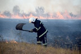 Elimination of a fire in the territory of the reserve