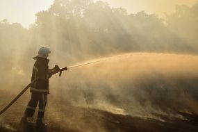 Elimination of a fire in the territory of the reserve