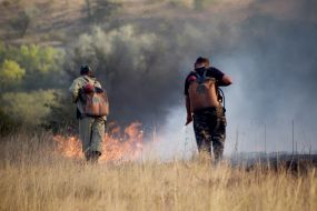Elimination of a fire in the territory of the reserve