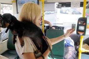 The passenger pays for travel by contactless bank card