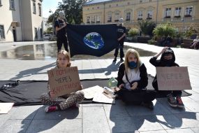 Action-performance of eco-activists for the global Climate Strike in Lviv