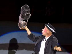 Flash circus program at the Zaporozhye circus