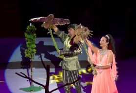 Flash circus program at the Zaporozhye circus