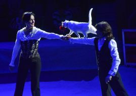 Flash circus program at the Zaporozhye circus