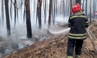 Elimination of forest fire in Luhansk region