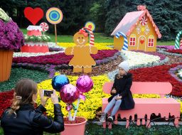 Exhibition of chrysanthemums "World of sweets"