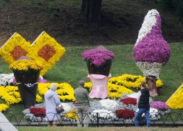 Exhibition of chrysanthemums "World of sweets"