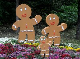 Выставка хризантем «Мир сладостей»