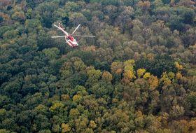 Large-scale forest fire in the Luhansk region