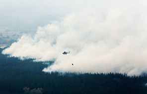 Large-scale forest fire in the Luhansk region