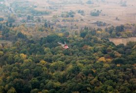 Large-scale forest fire in the Luhansk region