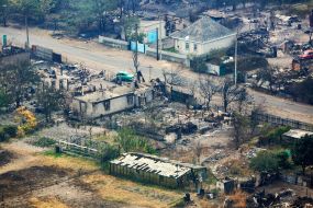 Large-scale forest fire in the Luhansk region