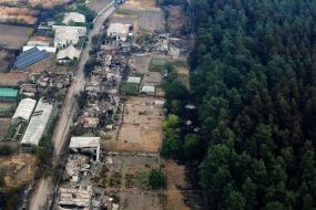 Large-scale forest fire in the Luhansk region