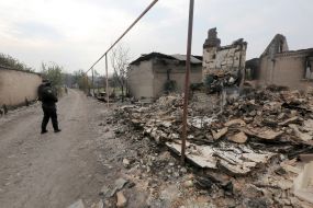 Large-scale forest fire in the Luhansk region