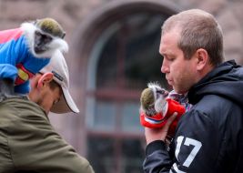 Men with monkeys