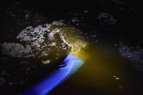 Stocking of the Dnieper in Zaporozhye