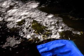 Fish fry in a bucket