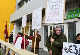 Participants of the action