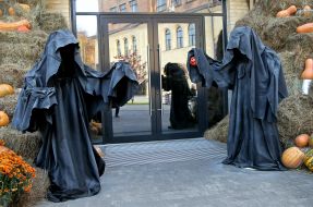 Halloween celebration