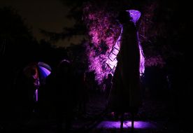 Feast of the Dead Flora in the Botanical Garden