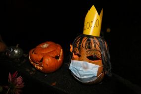 Feast of the Dead Flora in the Botanical Garden