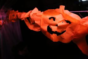 Feast of the Dead Flora in the Botanical Garden